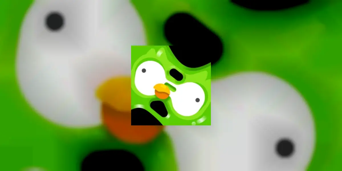 Duolingo: Language Lessons